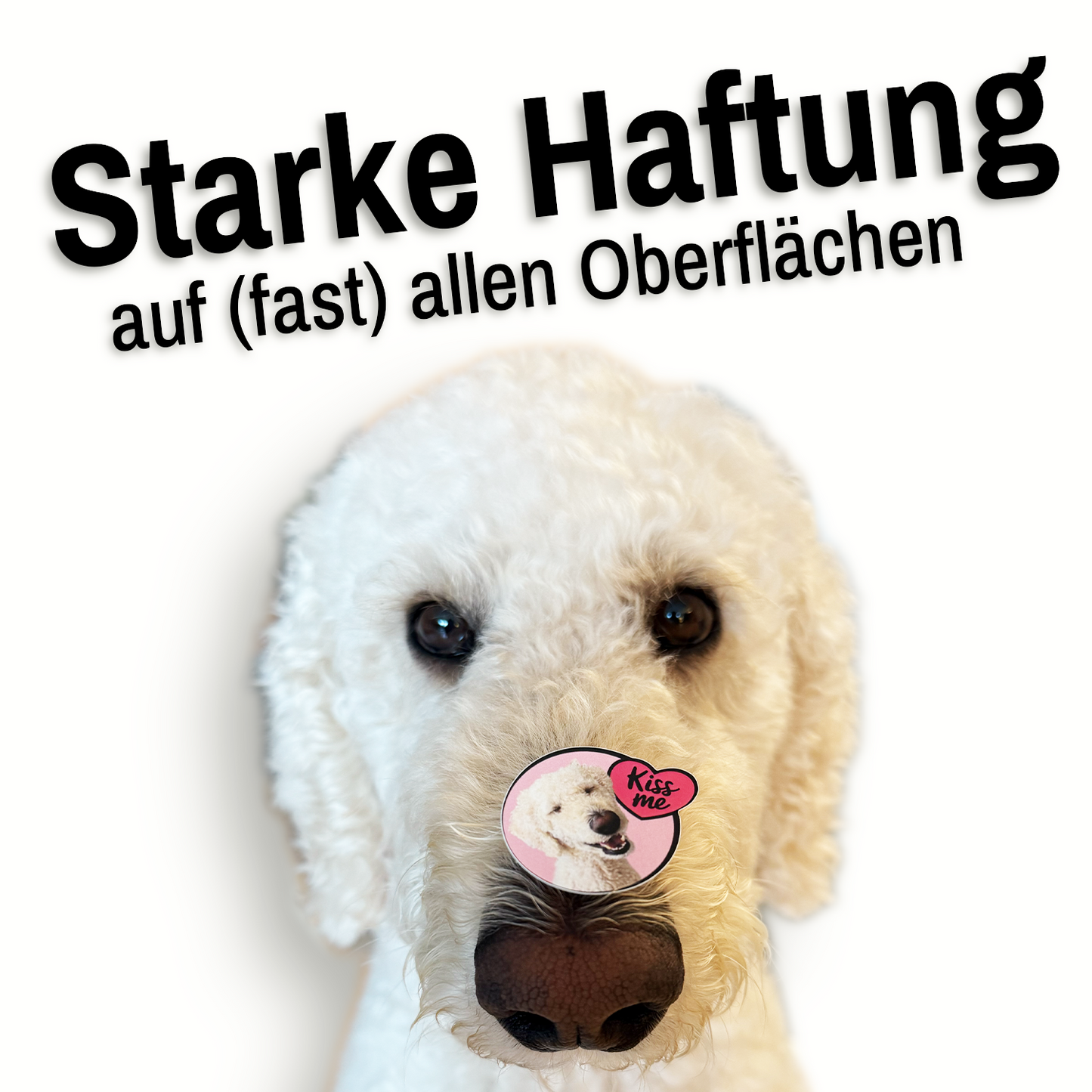 Holly's verrückter Stickerbogen - A4